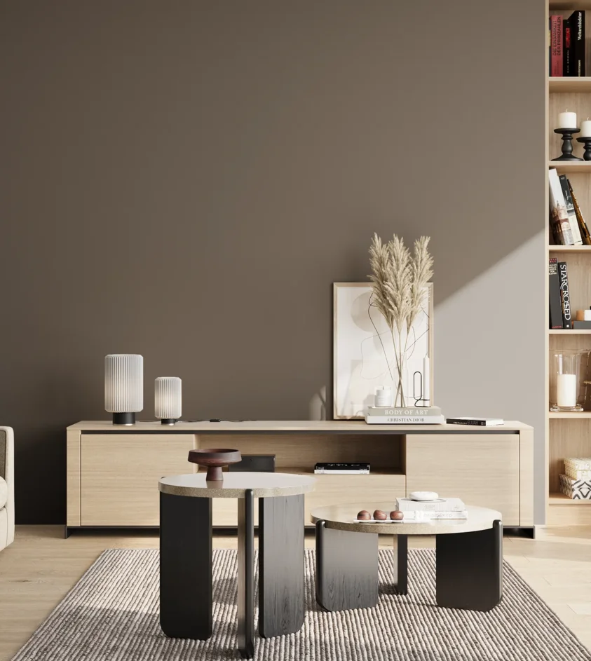 P10_SNIEZKA_salon_02_poludnie_GREY_S6502-Y50R
