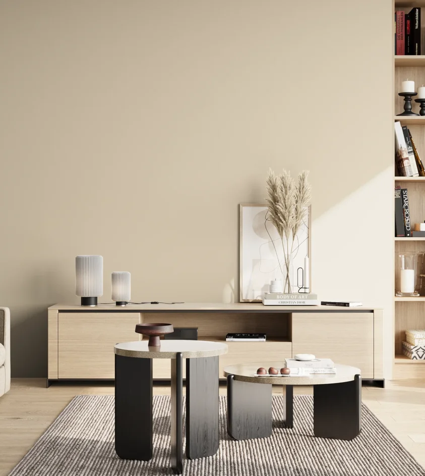 P10_SNIEZKA_salon_02_poludnie_GREY_RAL1013