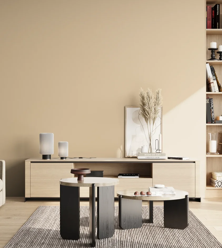 P10_SNIEZKA_salon_02_poludnie_GREY_RAL1015