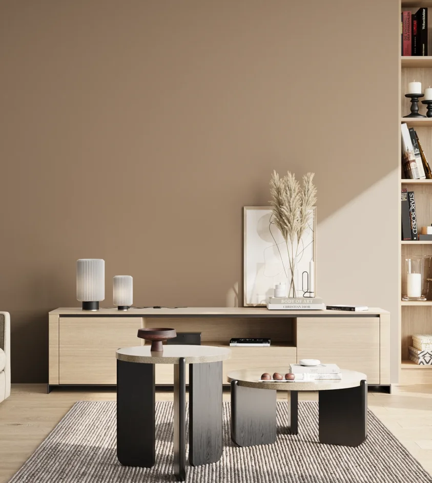 P10_SNIEZKA_salon_02_poludnie_GREY_RAL1019