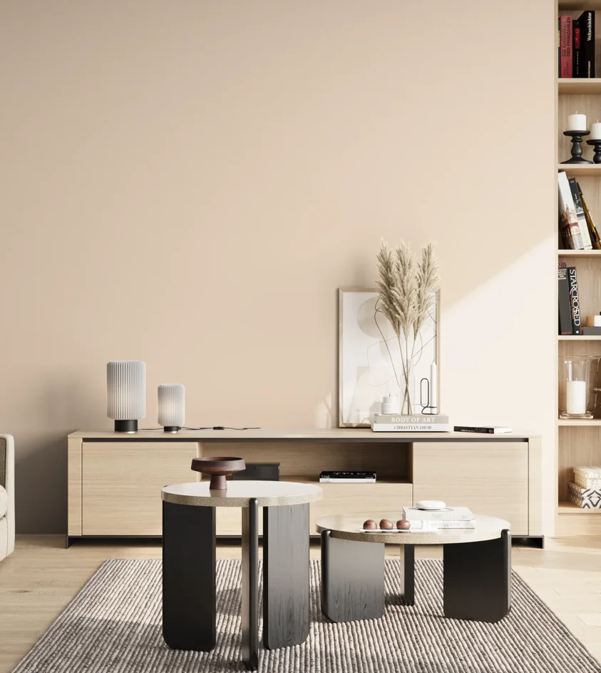 P10_SNIEZKA_salon_02_poludnie_GREY_S0507-Y60R