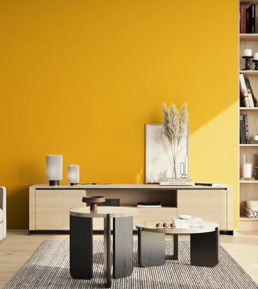 P10_SNIEZKA_salon_02_poludnie_GREY_RAL1021