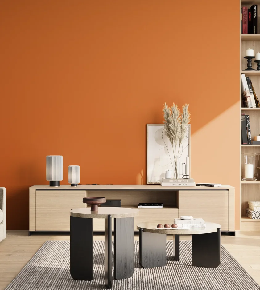 P10_SNIEZKA_salon_02_poludnie_GREY_RAL2000