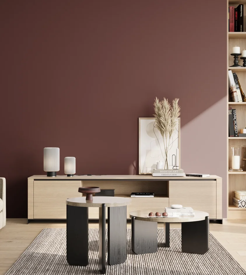 P10_SNIEZKA_salon_02_poludnie_GREY_RAL3005