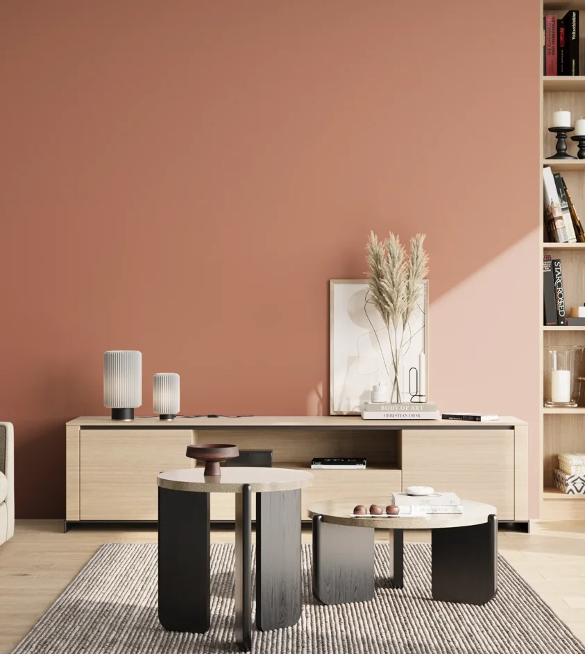 P10_SNIEZKA_salon_02_poludnie_GREY_RAL3012