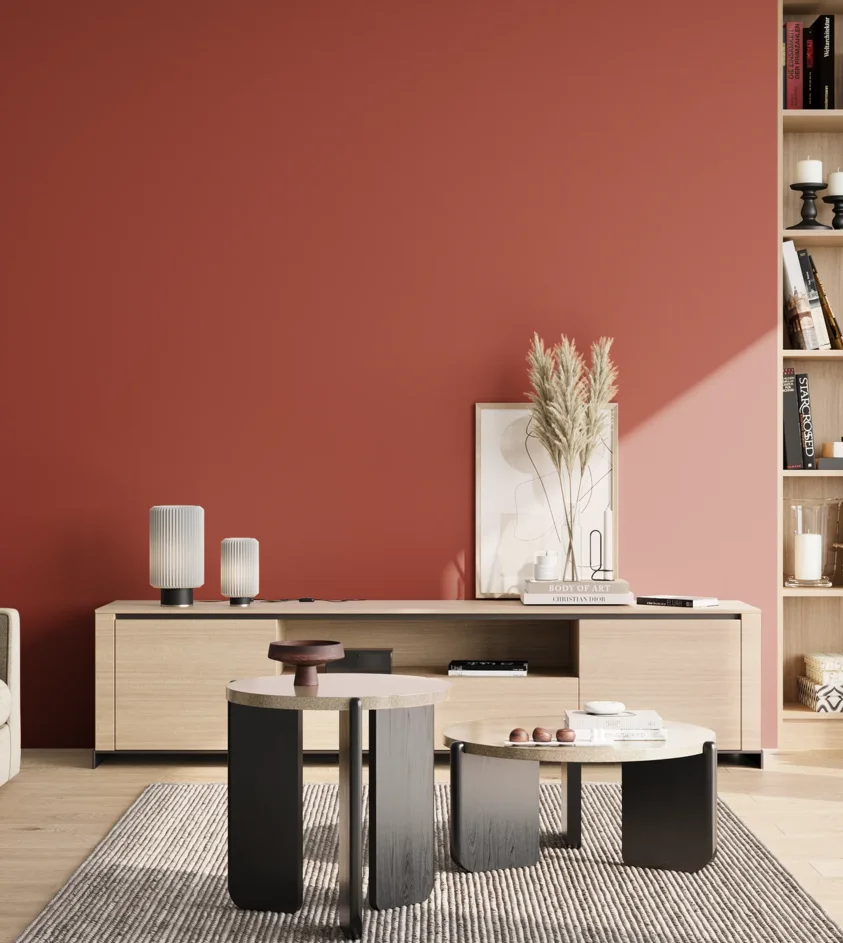 P10_SNIEZKA_salon_02_poludnie_GREY_RAL3016