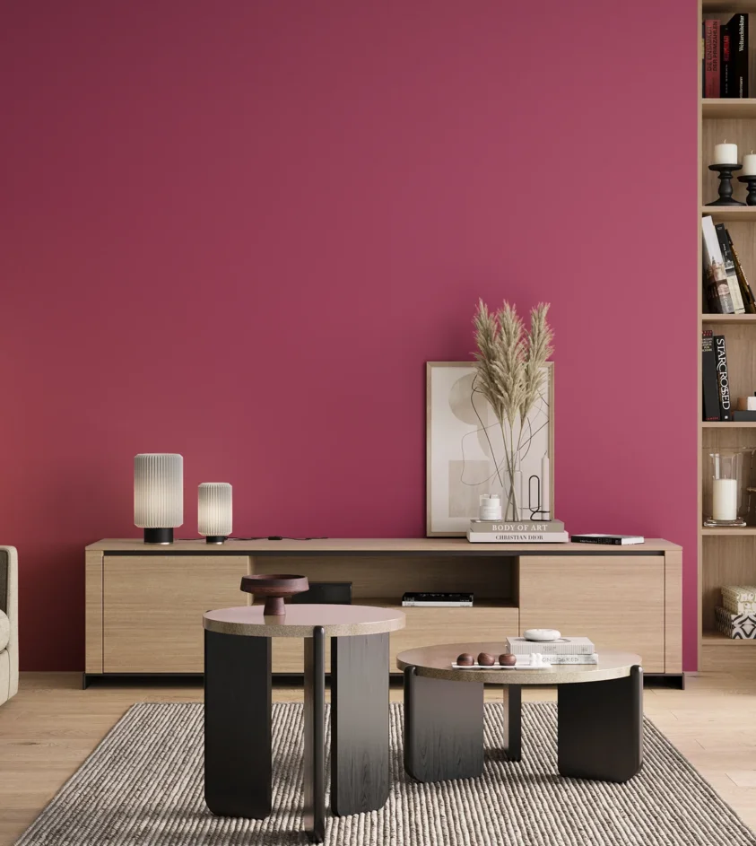 P10_SNIEZKA_salon_00_neutral_GREY_RAL4010