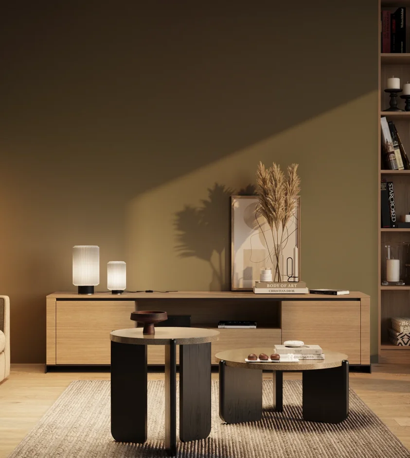 P10_SNIEZKA_salon_03_wieczor_GREY_RAL6003