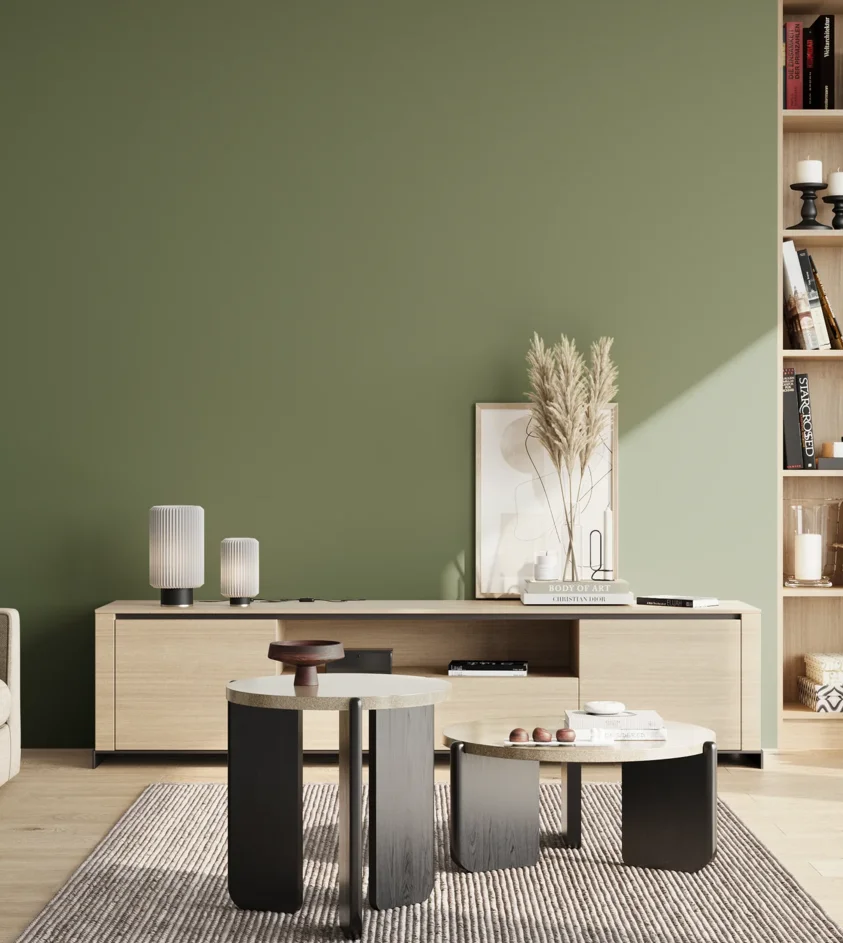 P10_SNIEZKA_salon_02_poludnie_GREY_RAL6011