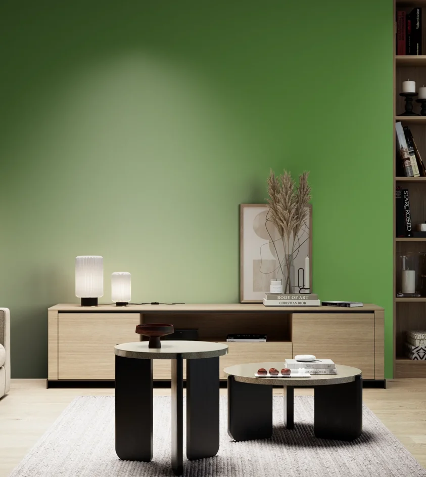 P10_SNIEZKA_salon_05_zimne_GREY_RAL6018