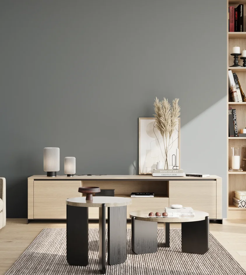 P10_SNIEZKA_salon_02_poludnie_GREY_RAL7000