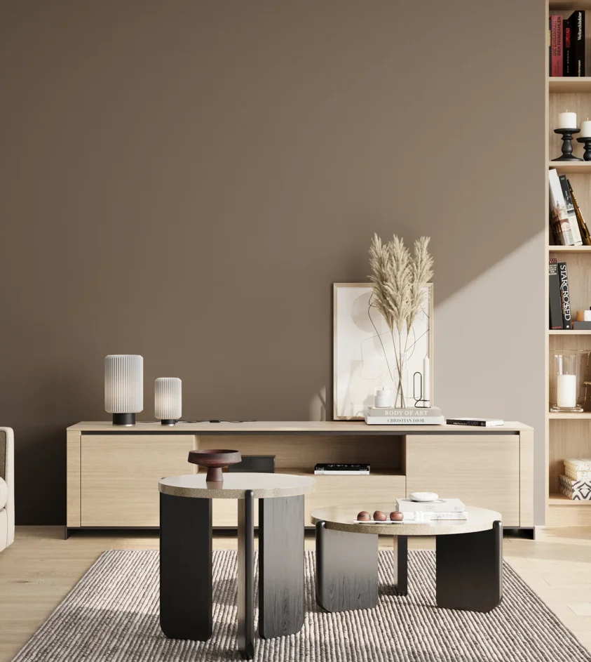 P10_SNIEZKA_salon_02_poludnie_GREY_RAL7006