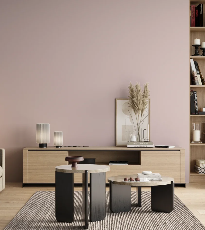 P10_SNIEZKA_salon_00_neutral_GREY_S0510-R20B