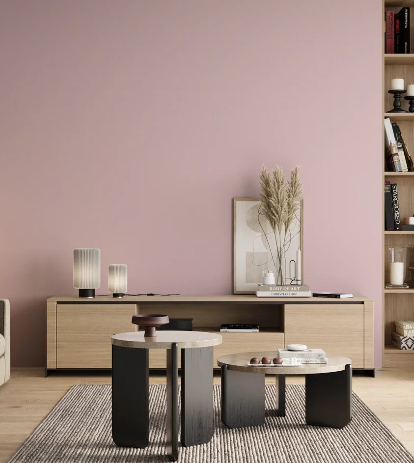 P10_SNIEZKA_salon_00_neutral_GREY_S0515-R20B