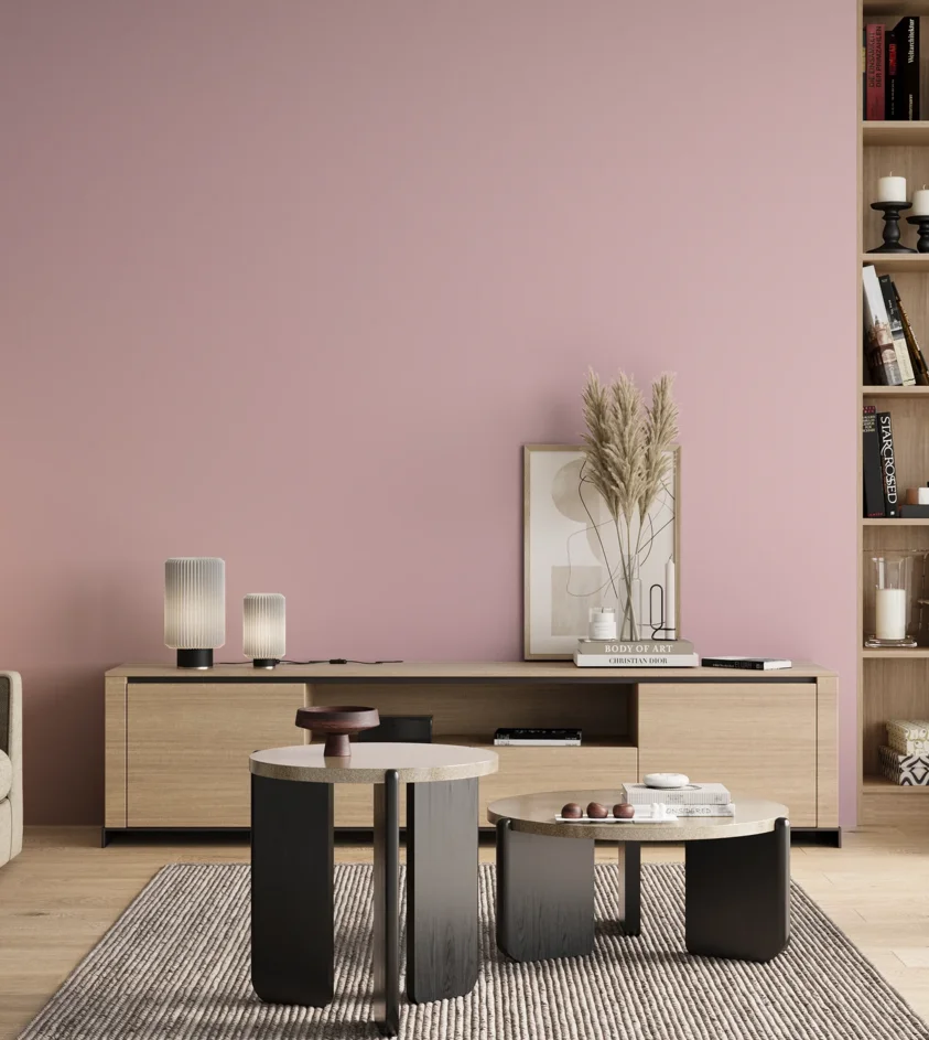 P10_SNIEZKA_salon_00_neutral_GREY_S0520-R20B