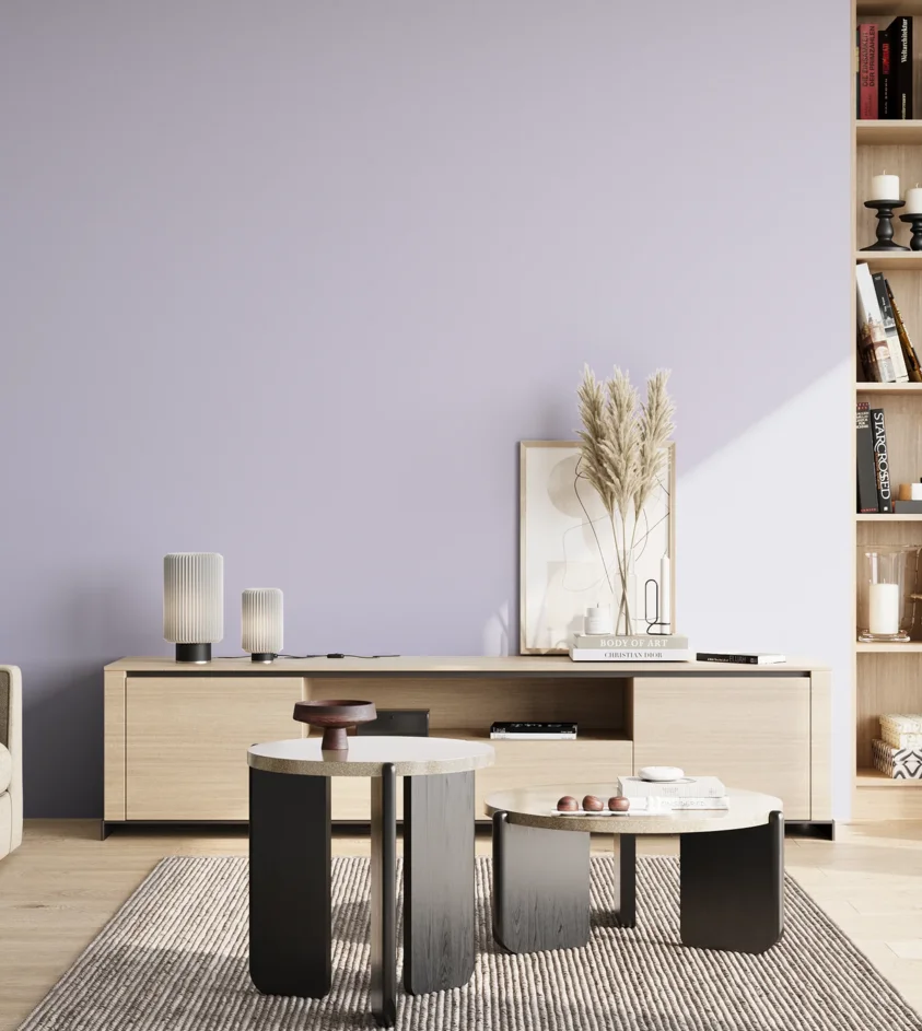 P10_SNIEZKA_salon_02_poludnie_GREY_S0520-R60B