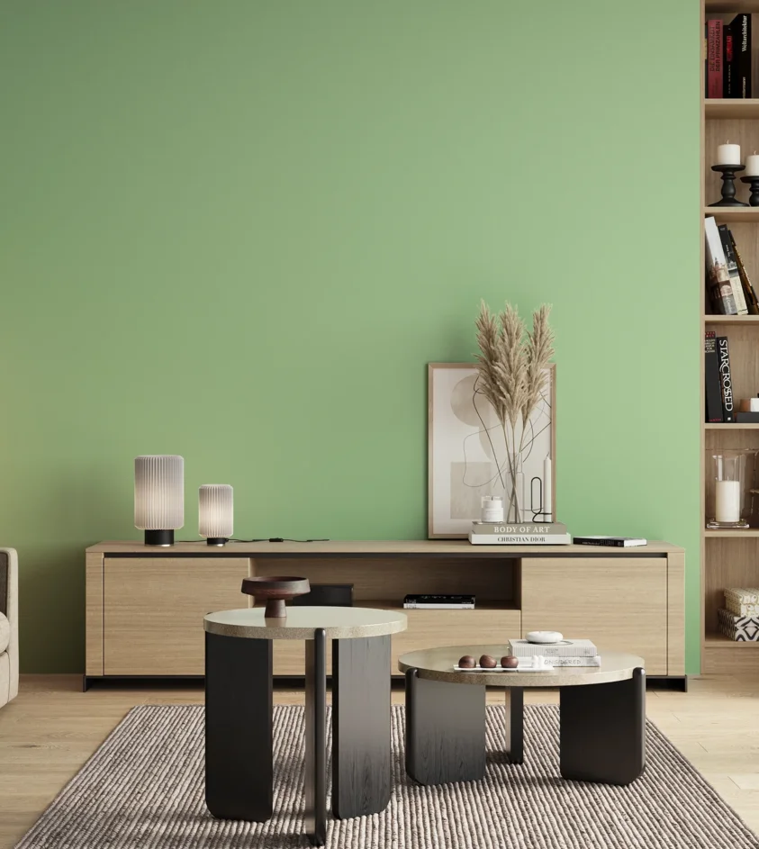 P10_SNIEZKA_salon_00_neutral_GREY_S0530-G20Y