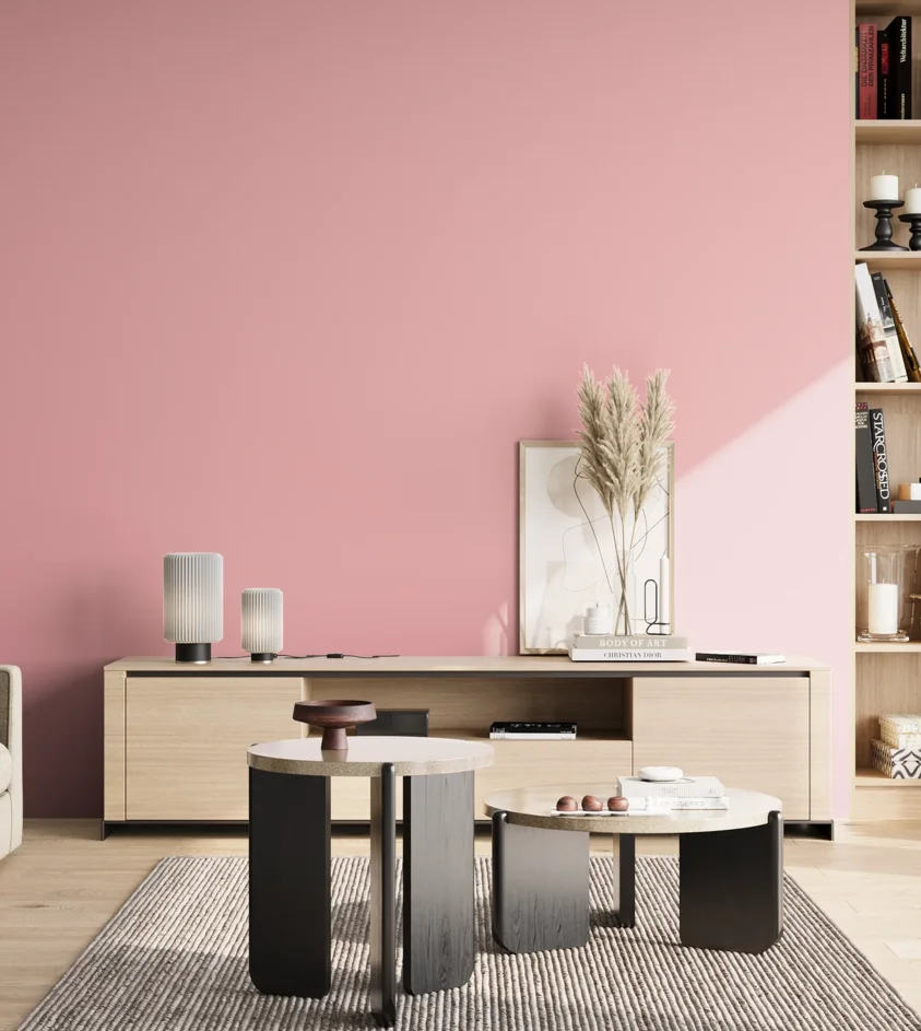 P10_SNIEZKA_salon_02_poludnie_GREY_S0530-R10B