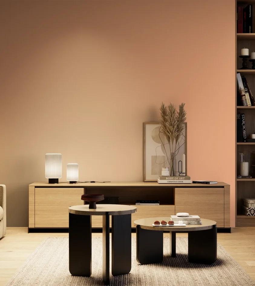 P10_SNIEZKA_salon_04_cieple_GREY_S0530-Y60R