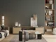 P10_SNIEZKA_salon_00_neutral_GREY_S6005-B50G
