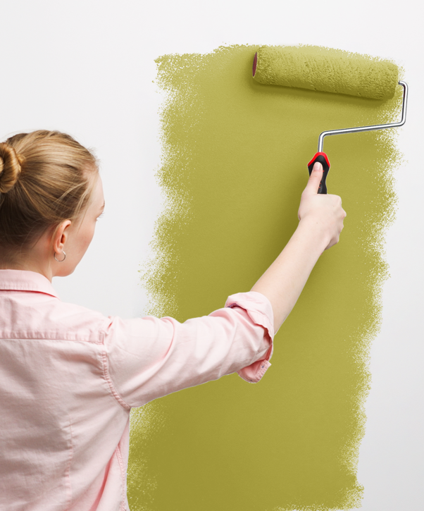 wall-painting_S3050-G80Y