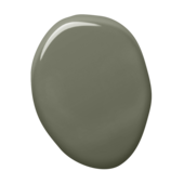 ral6003