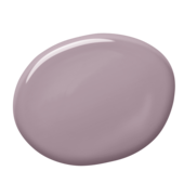ral4009