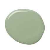 ral6021