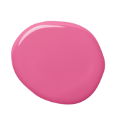s1070-r20b