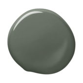 ral6020