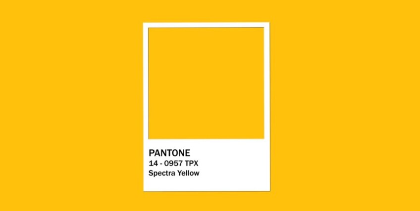 У чому різниця між каталогами кольорів RAL, NCS і Pantone?